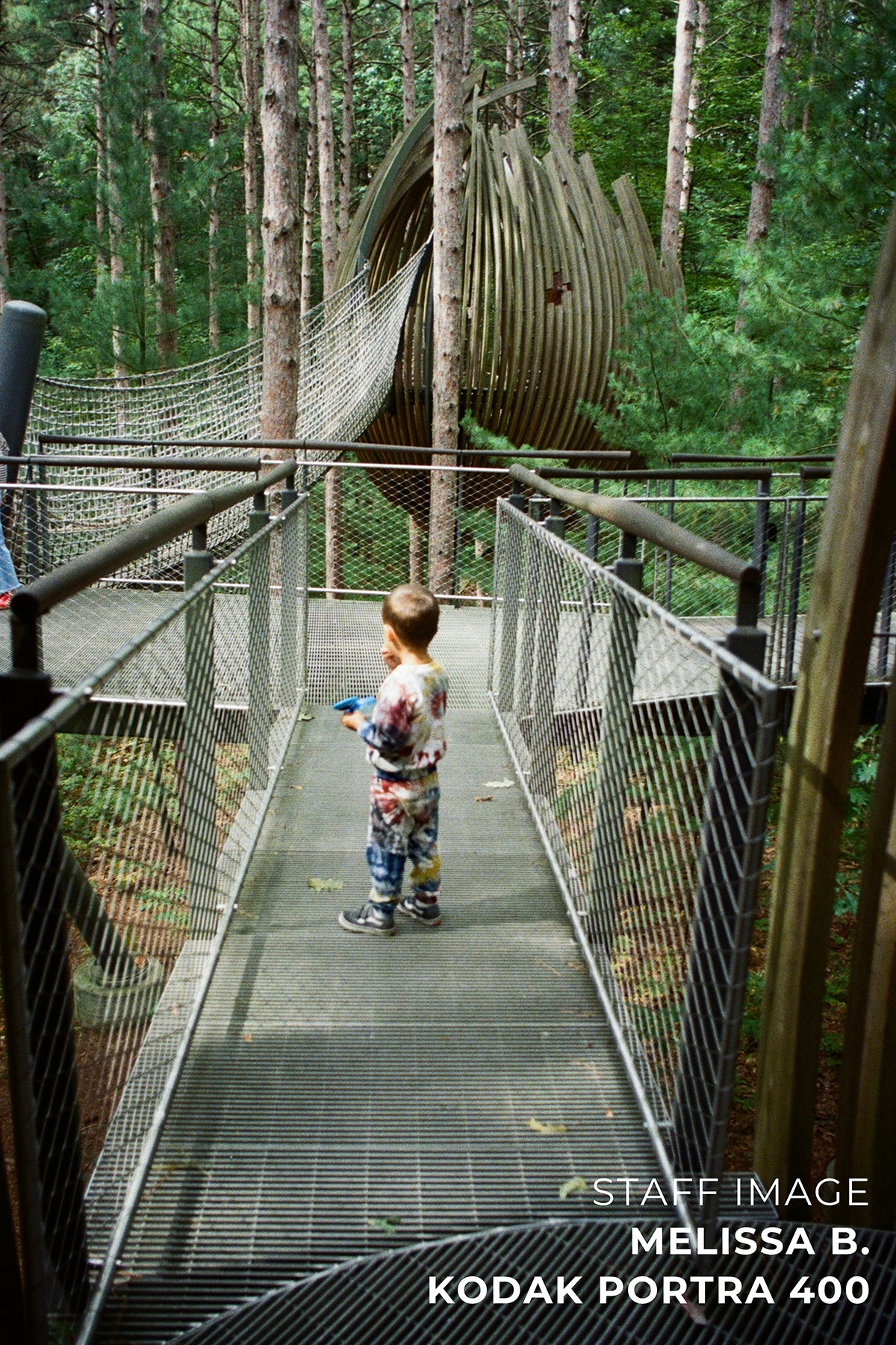 Kodak PORTRA 400 Color 35mm 36EXP - Box (5 Rolls)