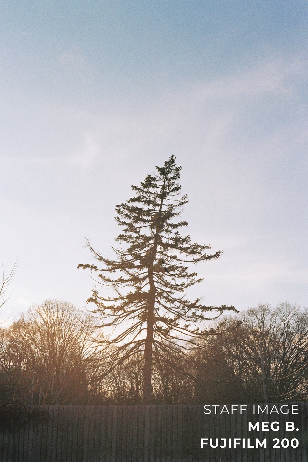 FUJIFILM 200 Color Negative 35mm 36EXP - Single Roll