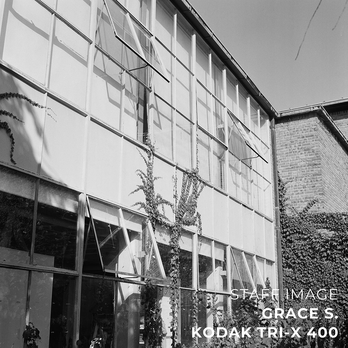Kodak TRI-X 400 Black & White 35mm 36EXP - Single Roll
