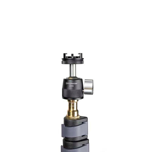 Promaster Famous Shoes Ball Head