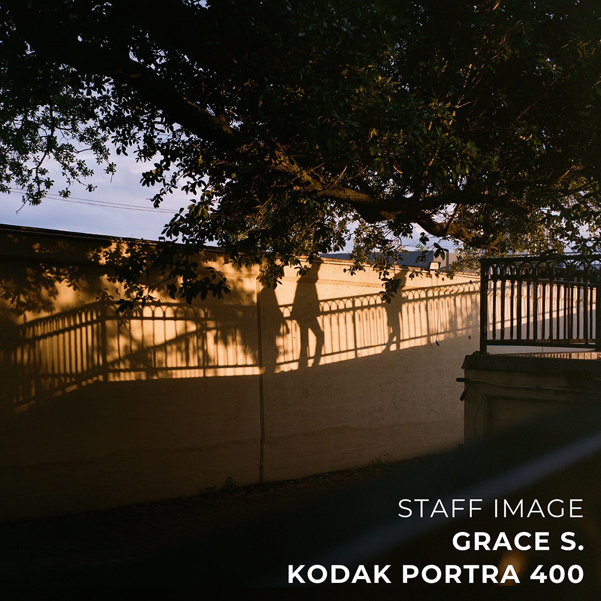 Kodak PORTRA 400 Color 35mm 36EXP - Box (5 Rolls)