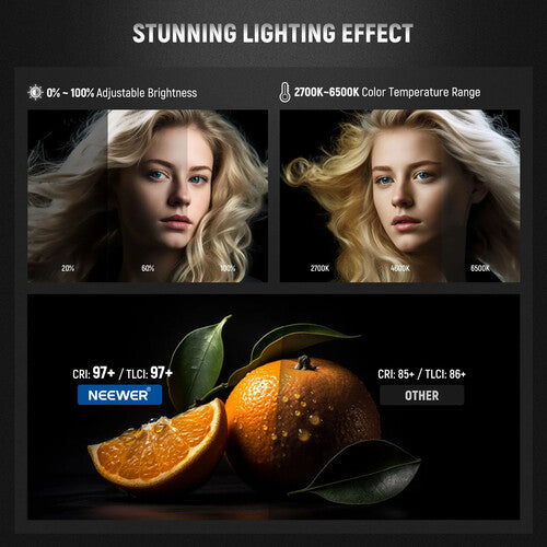 NEEWER CB60B 70W Bi-Color LED Video Light