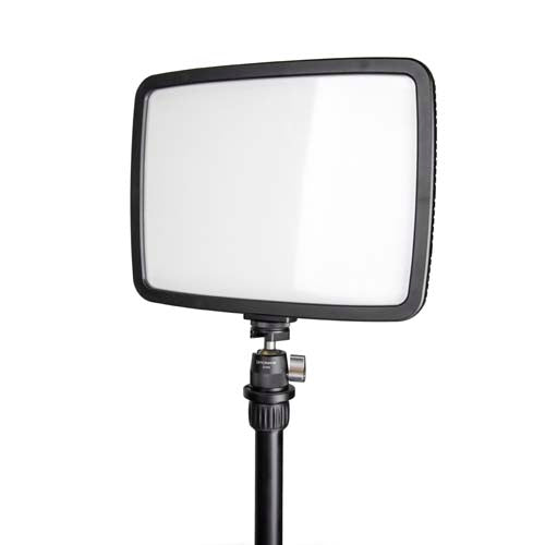 Promaster Famous Shoes Ball Head