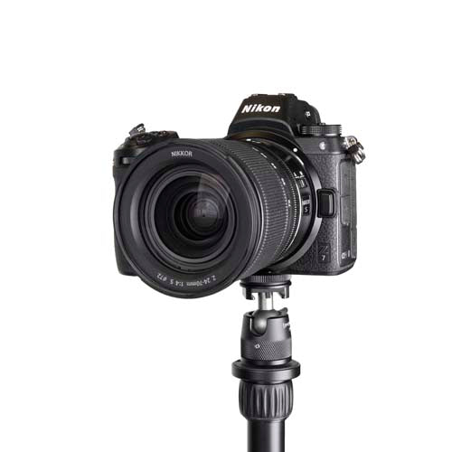 Promaster Famous Shoes Ball Head